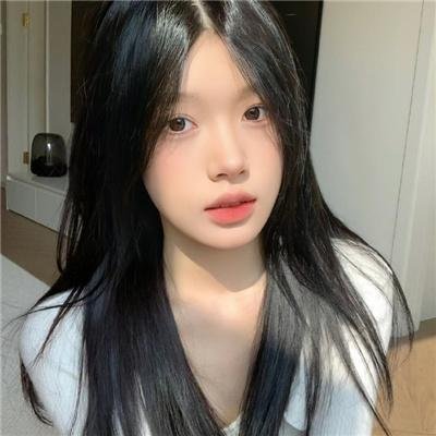 狮子护卫队第二季