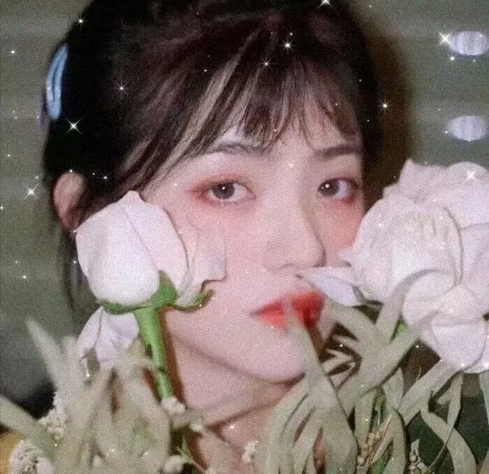 黑色丛林